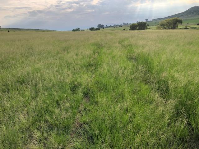 0 Bedroom Property for Sale in Bethlehem Rural Free State